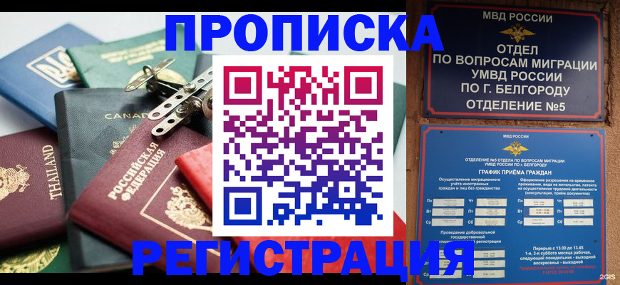 временная регистрация недорого в Лузе